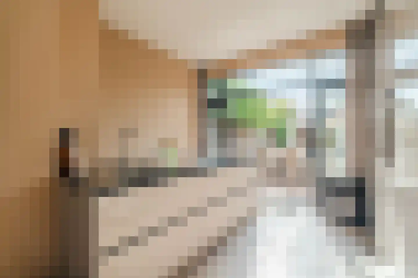 Hortensialaan 18 A Zeist thumbnail 20