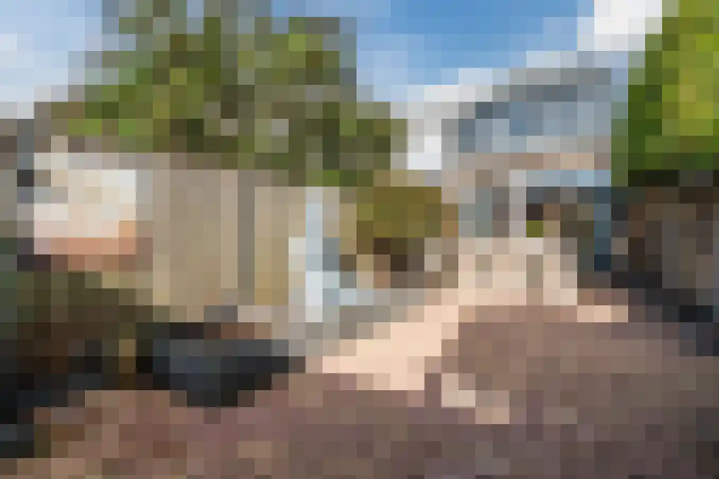 Hortensialaan 18 A Zeist thumbnail 49