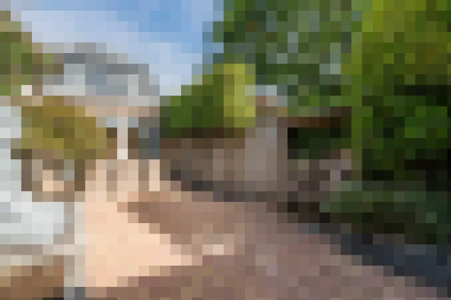 Hortensialaan 18 A Zeist thumbnail 50