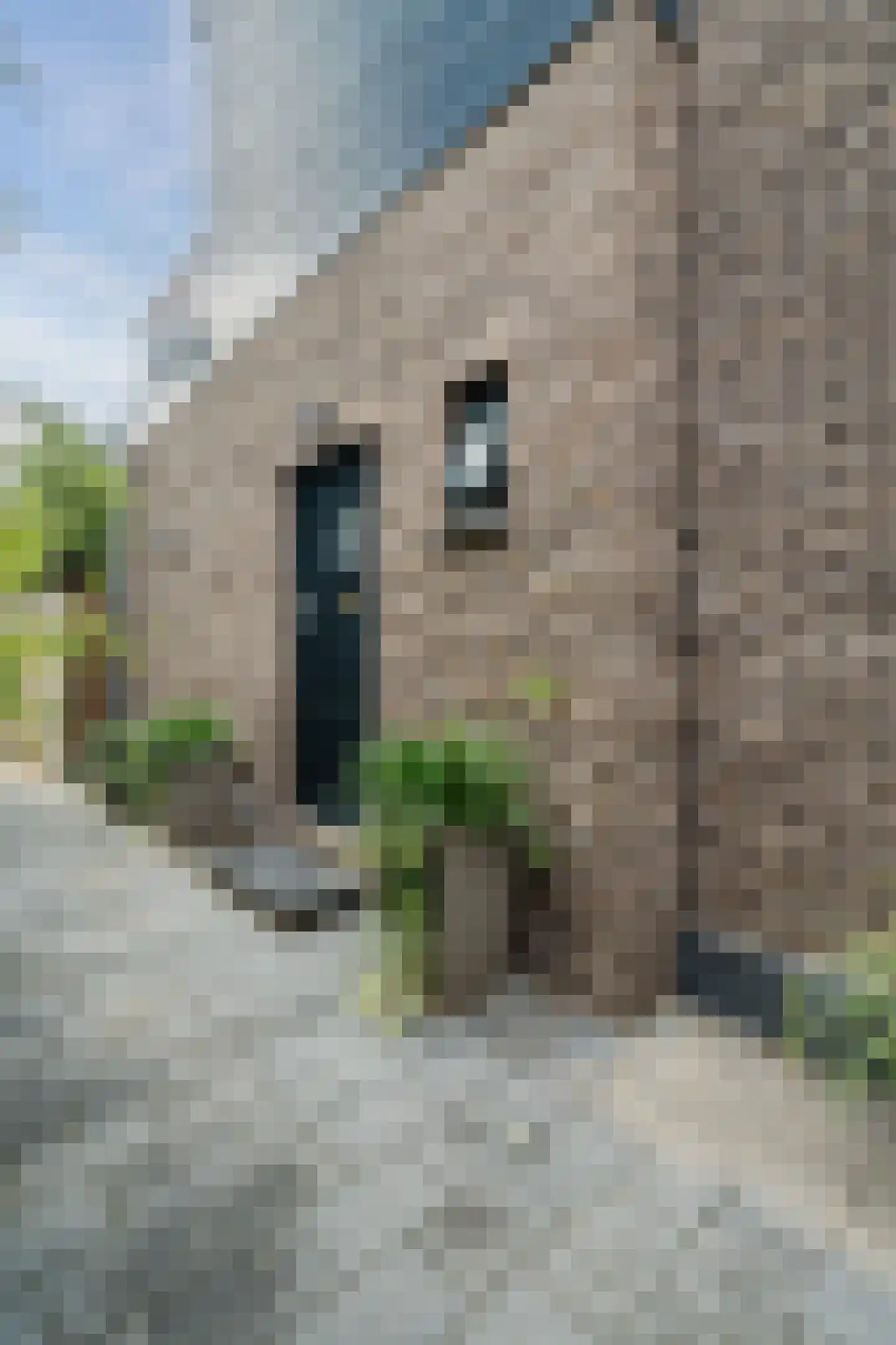 Hortensialaan 18 A Zeist thumbnail 6