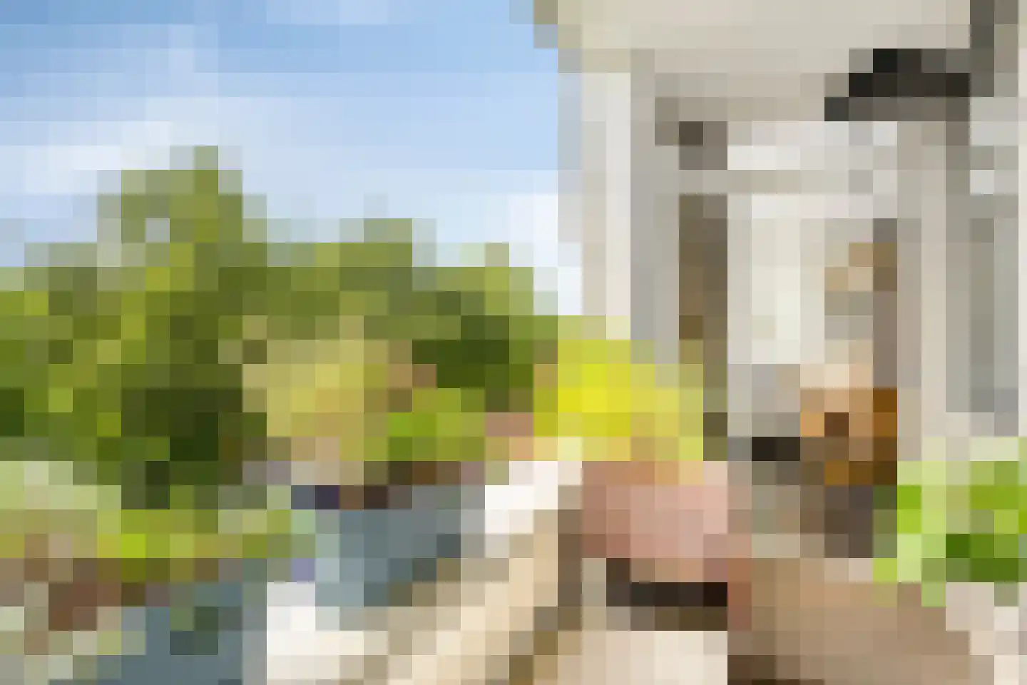Hortensialaan 19 Pijnacker thumbnail 27