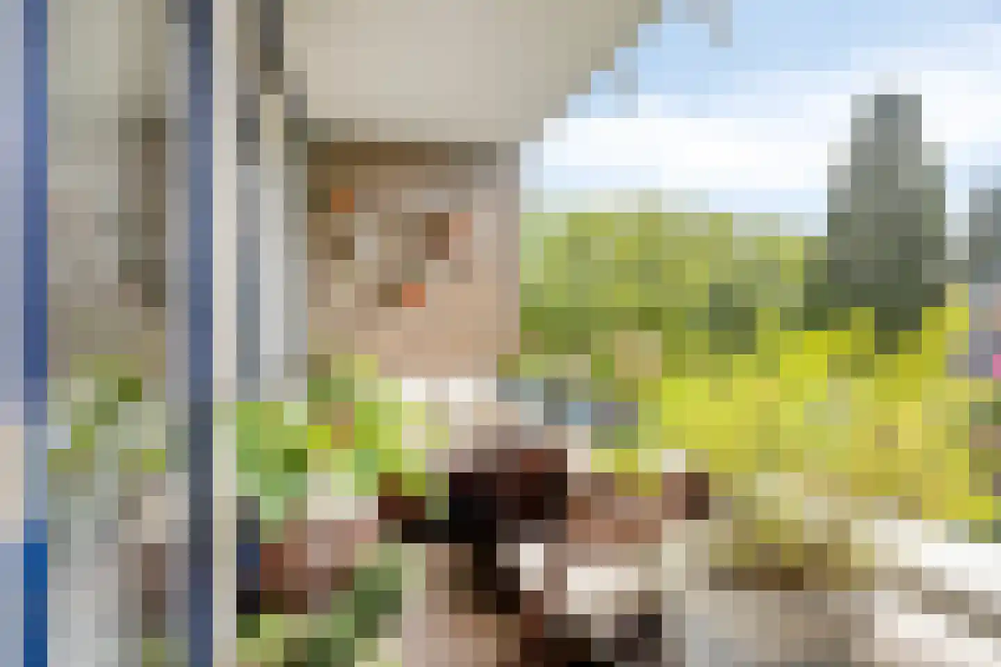Hortensialaan 19 Pijnacker thumbnail 4