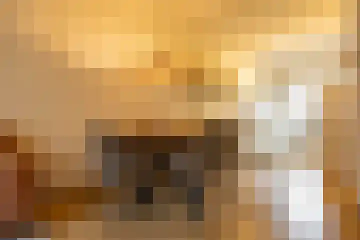 Hortensialaan 20 Groningen thumbnail 17