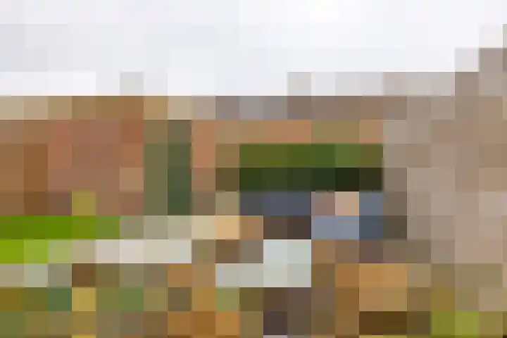 Hortensialaan 20 Groningen thumbnail 25