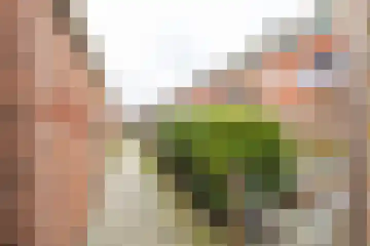 Hortensialaan 20 Groningen thumbnail 31