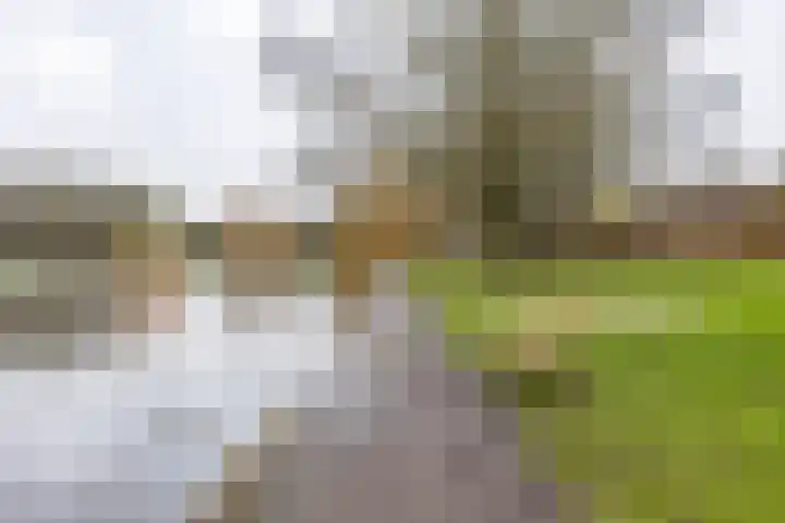 Hortensialaan 20 Groningen thumbnail 32