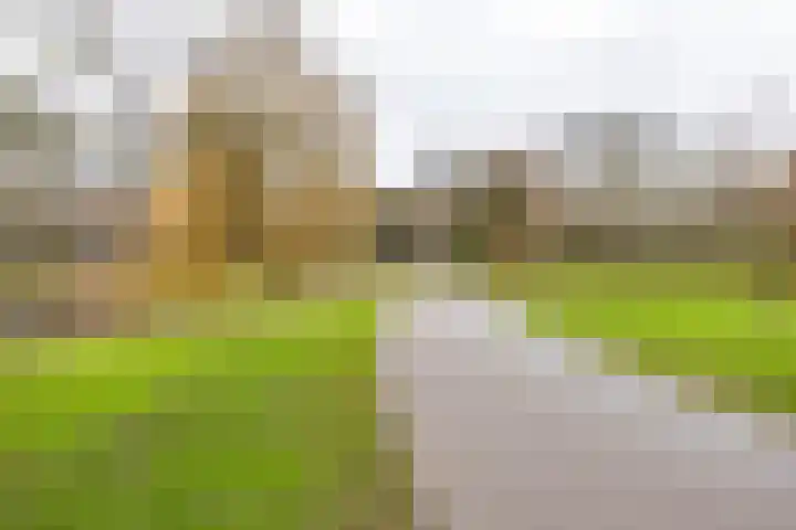Hortensialaan 20 Groningen thumbnail 33