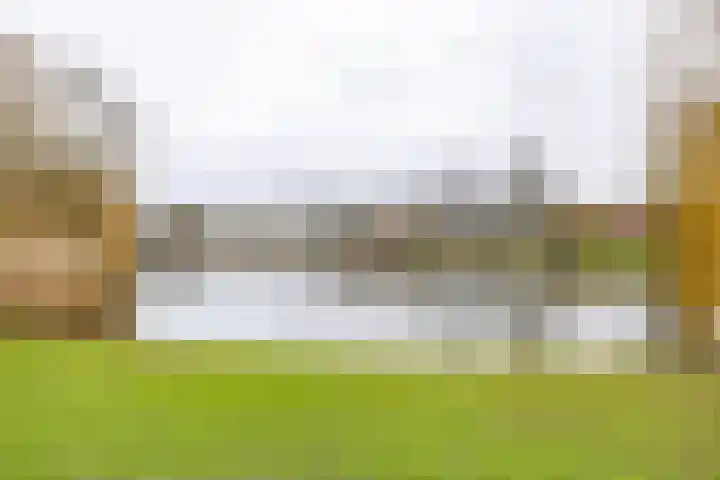 Hortensialaan 20 Groningen thumbnail 34