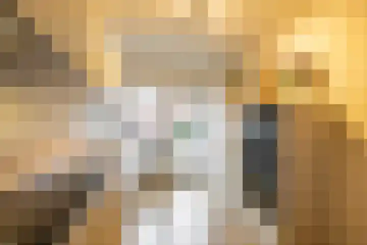 Hortensialaan 20 Groningen thumbnail 4