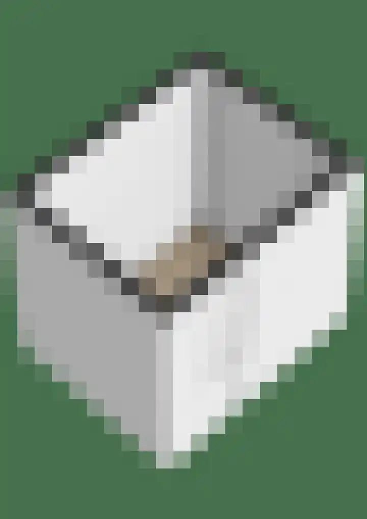 Hortensialaan 20 Groningen thumbnail 40