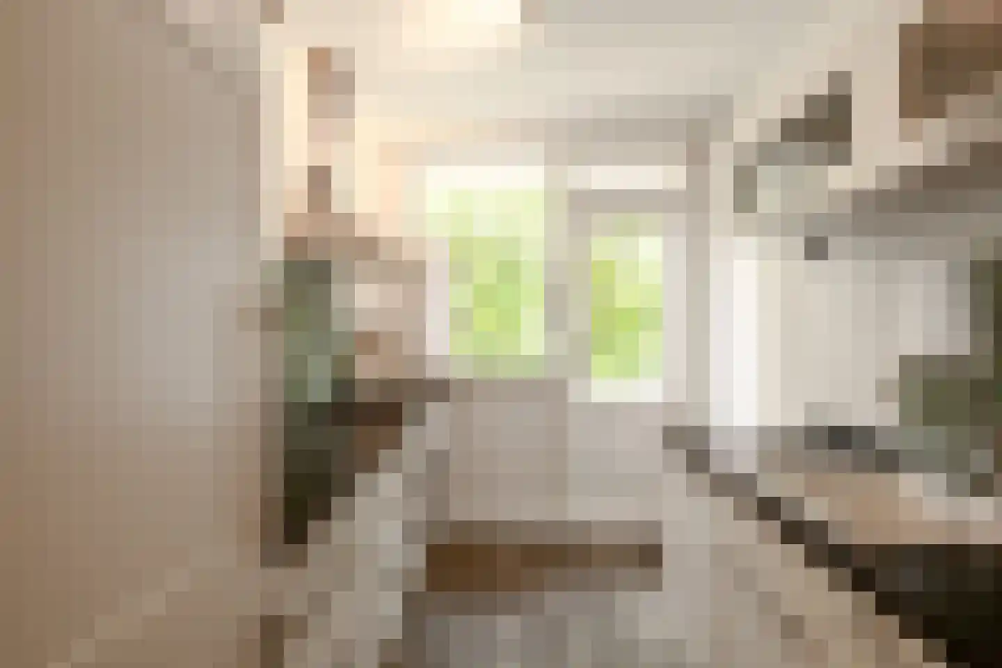 Hortensialaan 20 Pijnacker thumbnail 15