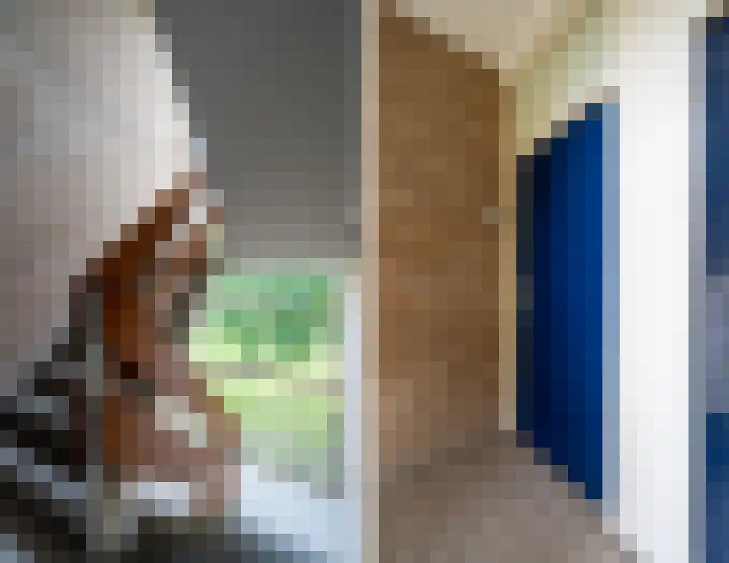 Hortensialaan 20 Pijnacker thumbnail 8
