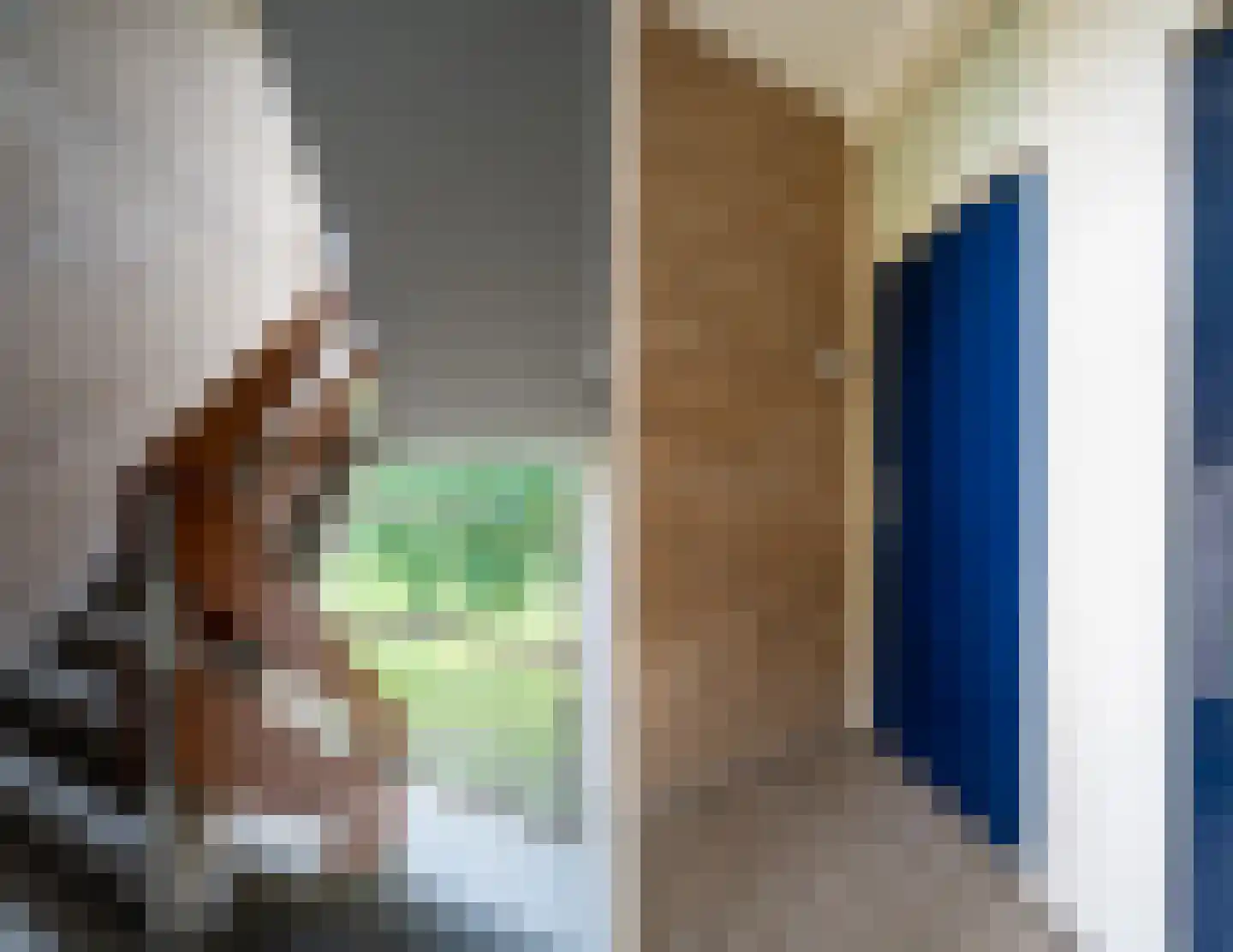 Hortensialaan 20 Pijnacker thumbnail 8