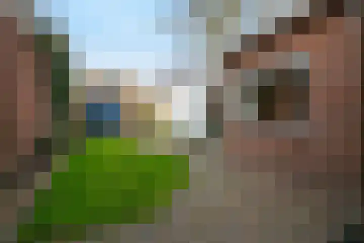 Hortensialaan 21 Zeist thumbnail 25