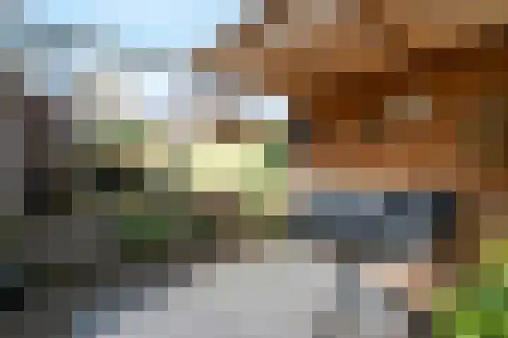 Hortensialaan 21 Zeist thumbnail 27