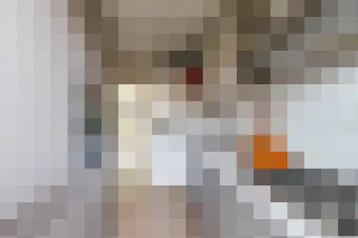 Hortensialaan 26 Groningen thumbnail 16
