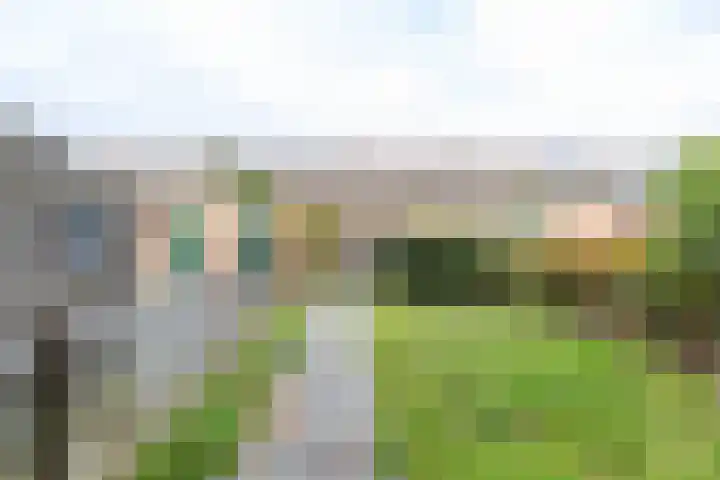 Hortensialaan 26 Groningen thumbnail 24