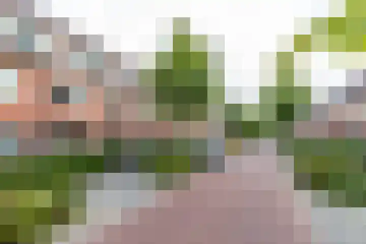 Hortensialaan 26 Groningen thumbnail 7
