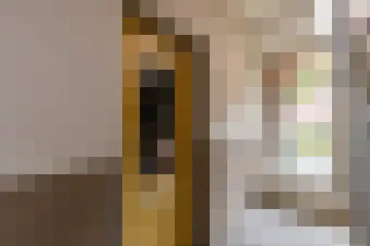 Hortensialaan 26 Groningen thumbnail 9