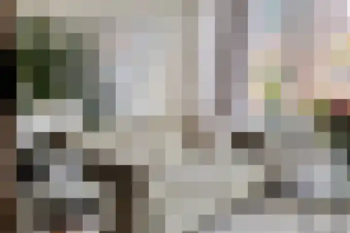 Hortensialaan 28 a Groningen thumbnail 22