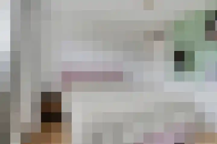 Hortensialaan 28 a Groningen thumbnail 30