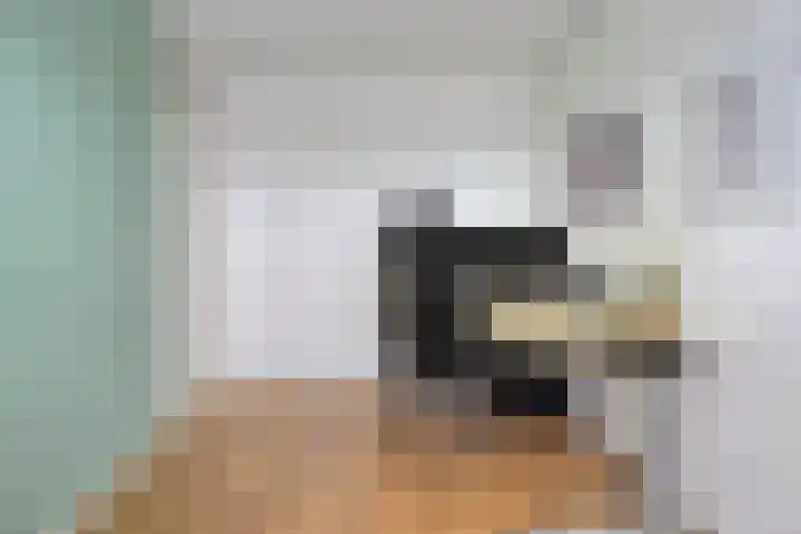 Hortensialaan 28 a Groningen thumbnail 38