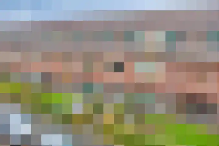 Hortensialaan 28 a Groningen thumbnail 39