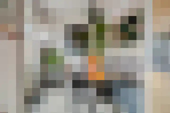 Hortensialaan 28 a Groningen thumbnail 4