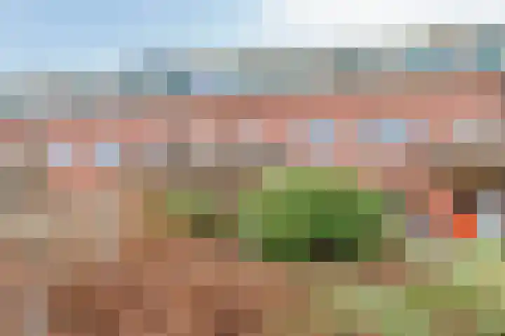 Hortensialaan 28 a Groningen thumbnail 40