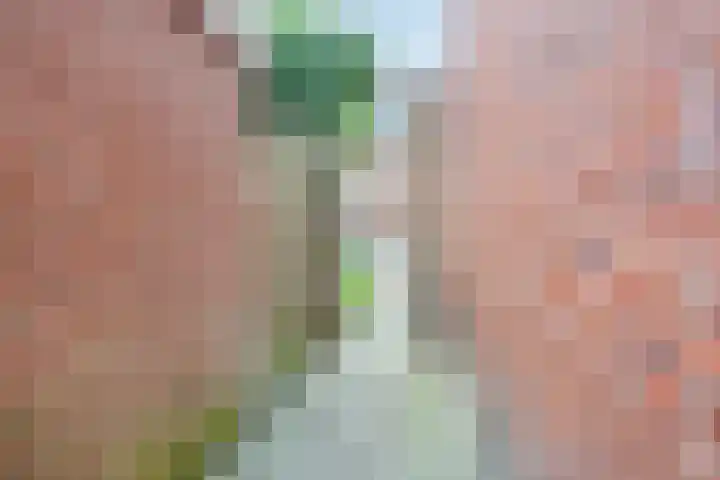 Hortensialaan 28 a Groningen thumbnail 45