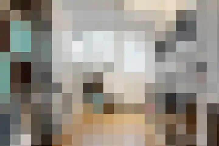 Hortensialaan 3 Beverwijk thumbnail 17