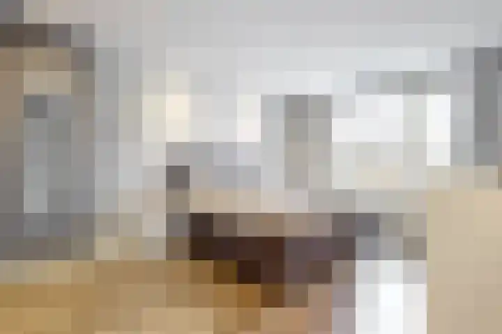 Hortensialaan 3 Beverwijk thumbnail 24
