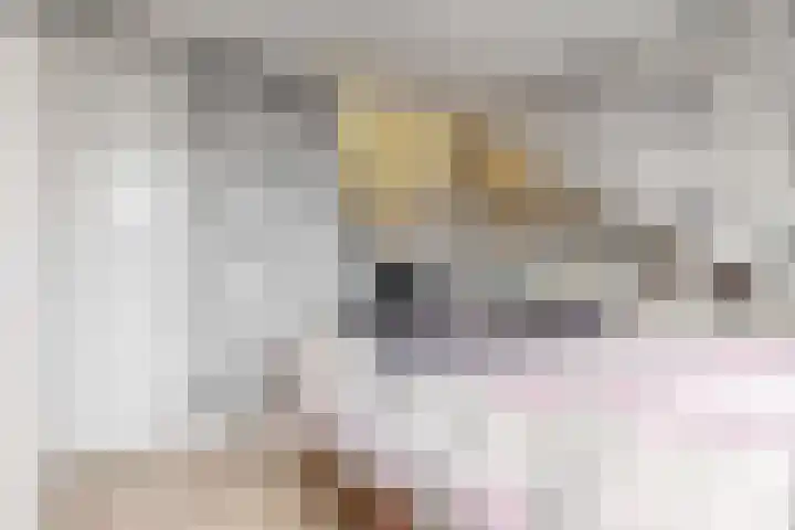 Hortensialaan 3 Beverwijk thumbnail 30