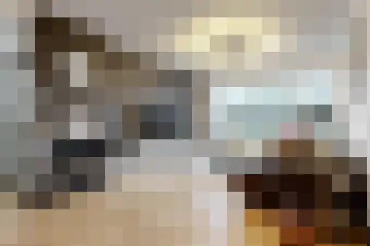 Hortensialaan 3 Beverwijk thumbnail 6