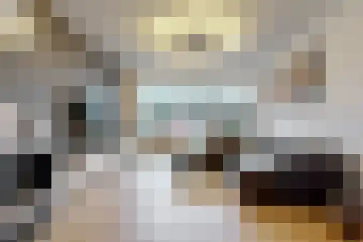 Hortensialaan 3 Beverwijk thumbnail 7