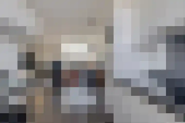 Hortensialaan 3 Winterswijk thumbnail 17