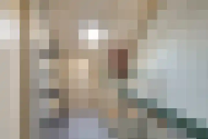 Hortensialaan 3 Winterswijk thumbnail 34