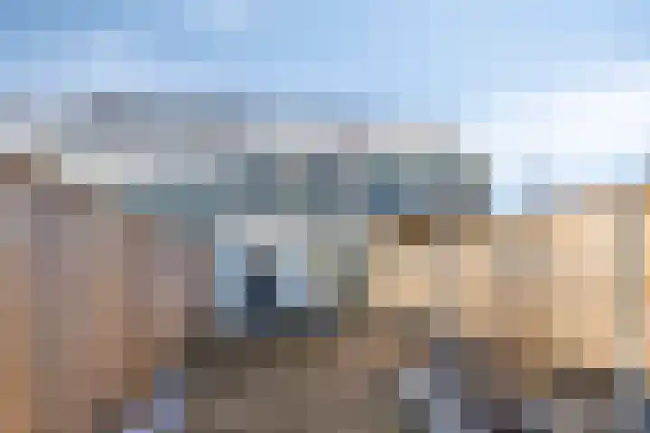 Hortensialaan 3 Winterswijk thumbnail 38
