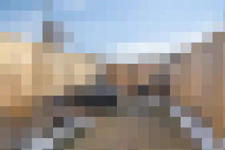 Hortensialaan 3 Winterswijk thumbnail 39