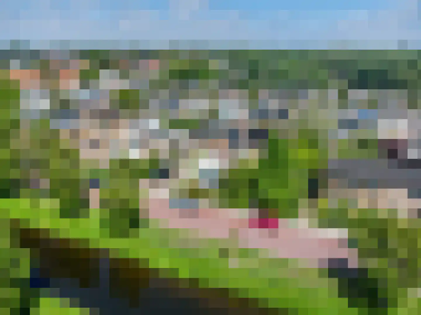 Hortensialaan 33 Aalsmeer thumbnail 37