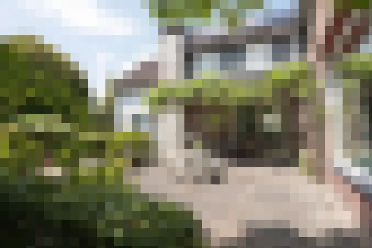 Hortensialaan 33 Aalsmeer thumbnail 4