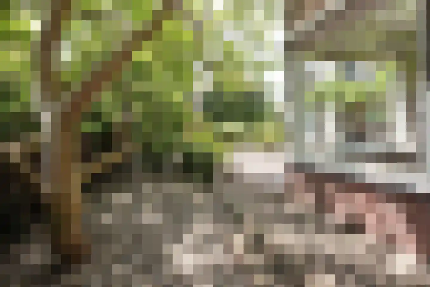 Hortensialaan 33 Aalsmeer thumbnail 5