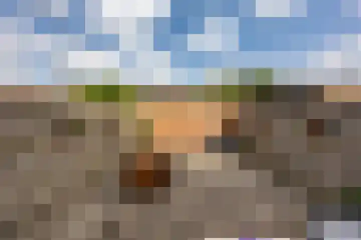 Hortensialaan 34 Groningen thumbnail 24