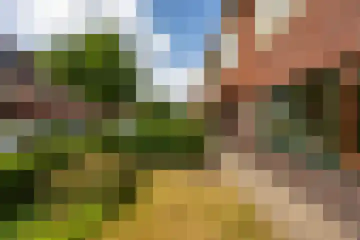 Hortensialaan 34 Groningen thumbnail 30