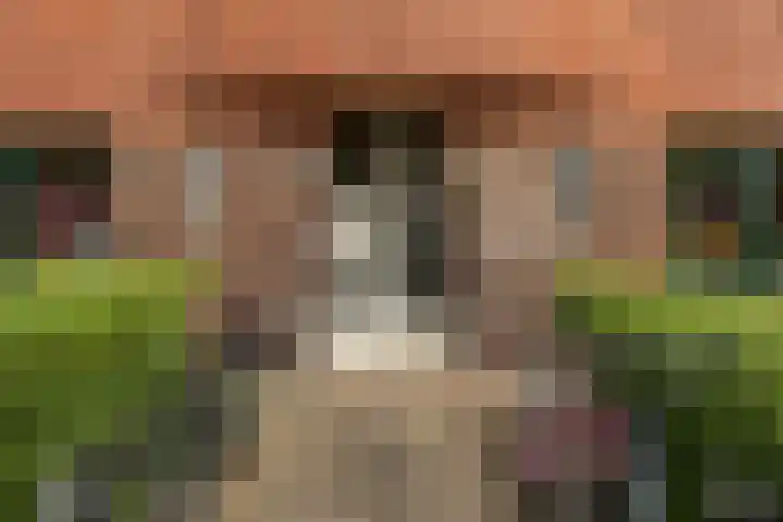 Hortensialaan 34 Groningen thumbnail 4