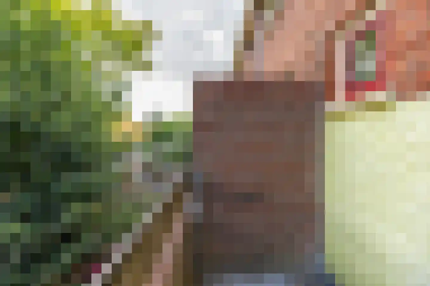 Hortensialaan 35 a Groningen thumbnail 18