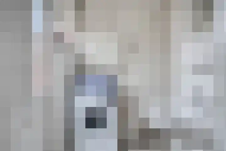 Hortensialaan 4 a Groningen thumbnail 22