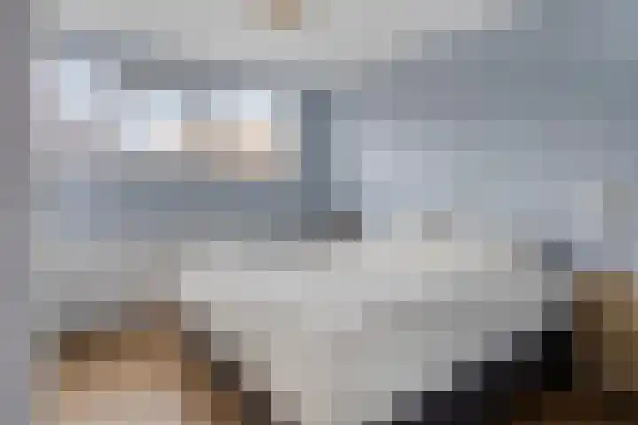 Hortensialaan 4 a Groningen thumbnail 28