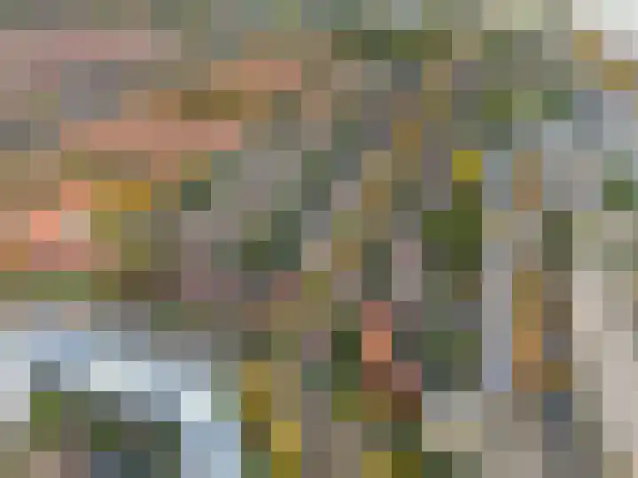 Hortensialaan 4 b Groningen thumbnail 37