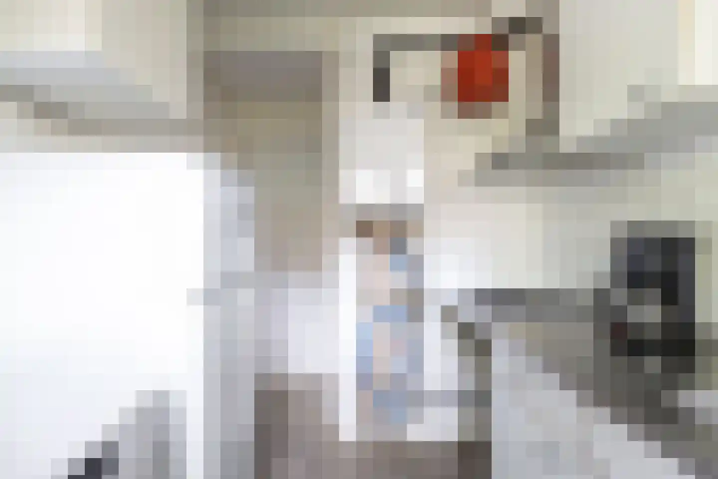 Hortensialaan 42 Groningen thumbnail 19